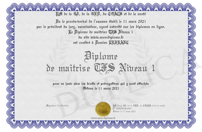 Diplome-de-maitrise-TFS-Niveau-1